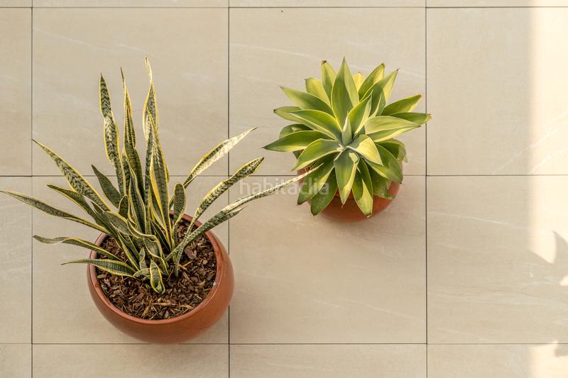 Foto 9ee266a9-de46-44f1-9fae-35f058605d39. Location maison jumelée dans carrer halley 4 dans mar Cambrils Cambrils