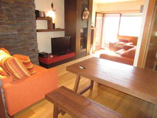 Apartament en Canfranc. Apartamento en candanch. garaje. trastero. saln con chimenea.
