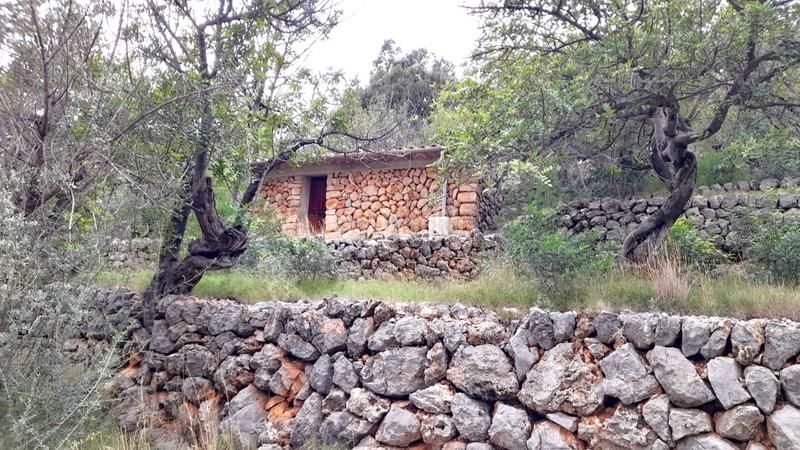 Foto 288ed9d5-4d41-46c8-8ec7-42e11ffe12c2. Landgut in Fornalutx