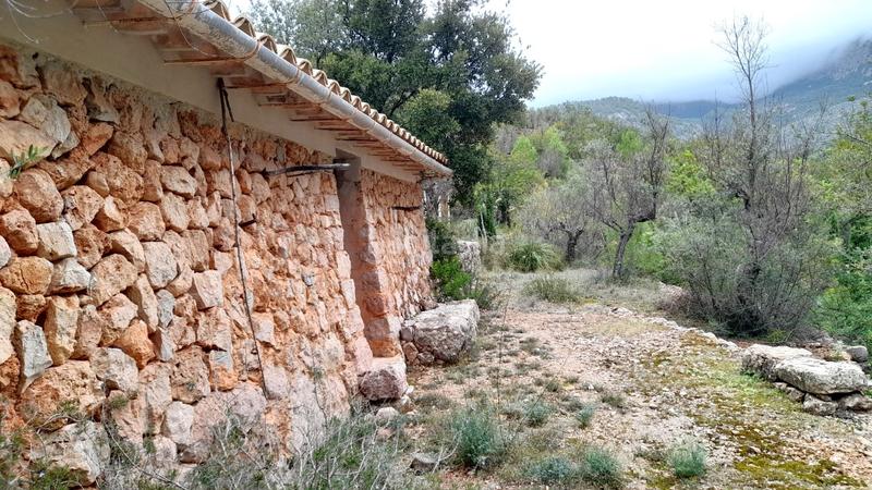 Foto 84a78855-149d-4ff6-bb26-2a280247e457. Landgut in Fornalutx