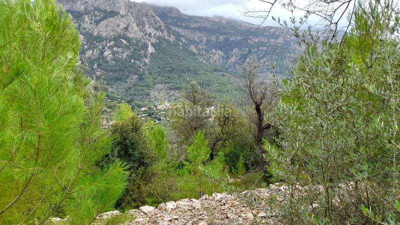 Foto 9b95625b-eb4e-4454-8d30-21f56d3b2ab6. Landgut in Fornalutx