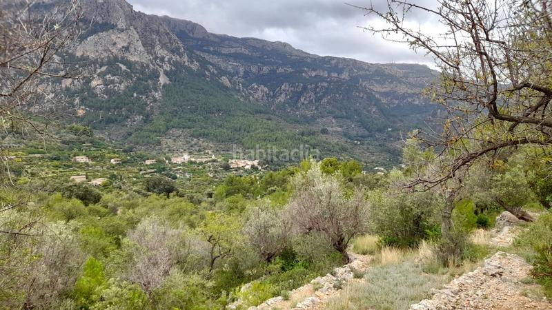 Foto c078479b-ff2e-4190-bb5e-a31af0cb00a8. Landgut in Fornalutx