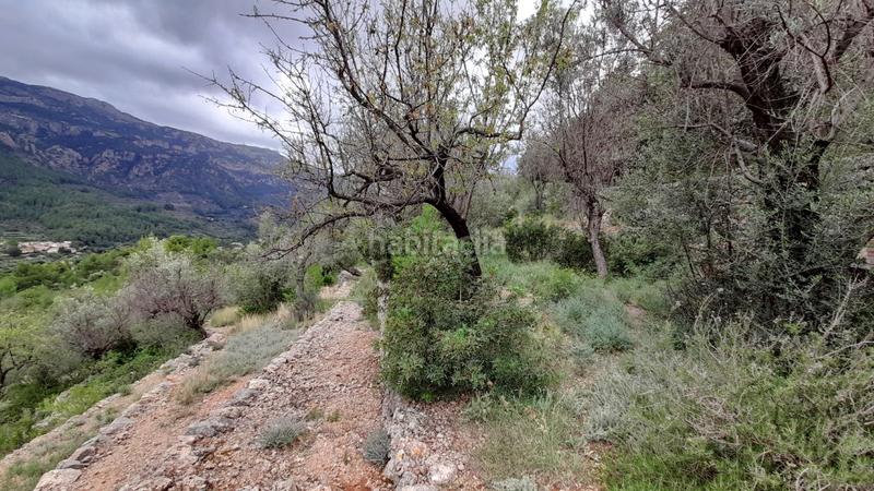 Foto c0a076ca-29e9-4e14-ba36-a2546a1efdcb. Landgut in Fornalutx