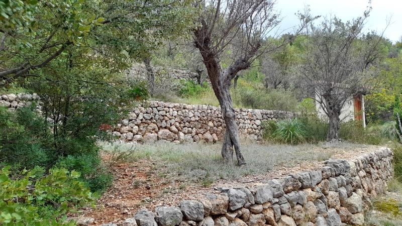 Foto e2b7e521-c306-49a3-b23a-5ba76ac6db24. Landgut in Fornalutx