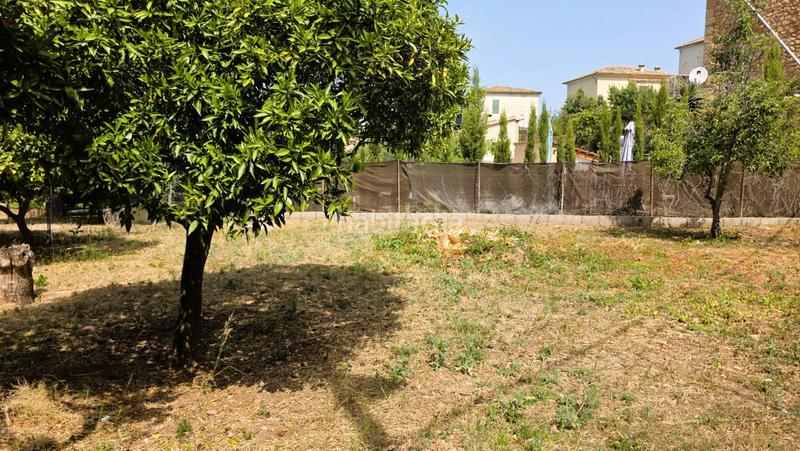 Foto c7543df4-8fdc-40f3-a44f-8348acbec273. Casa pareada casa con jardín en las afueras en Sóller