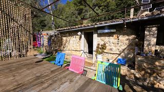 Finca rústica a Sóller. Olivar con caseta de piedra y vistas a la tramuntana en sóller