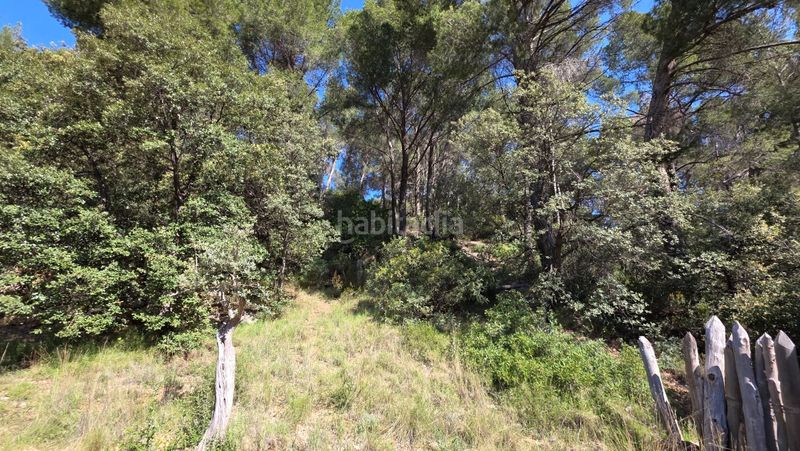 Foto e4bc8c71-b354-4e17-a2fb-3d10b0ece349. Landgut in Sóller