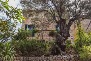 House in Deià. Casa familiar con mucho carácter y jardín en deià