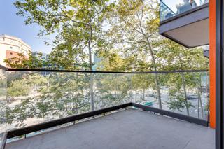 Pis  Avinguda diagonal. Parking y trastero incluido, piscina comunitaria ¡