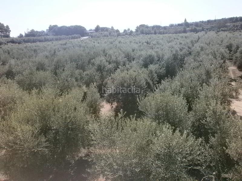 Foto 2525f301-c5ac-4e64-b39e-37f7f686e248. Propriété dans Riudoms