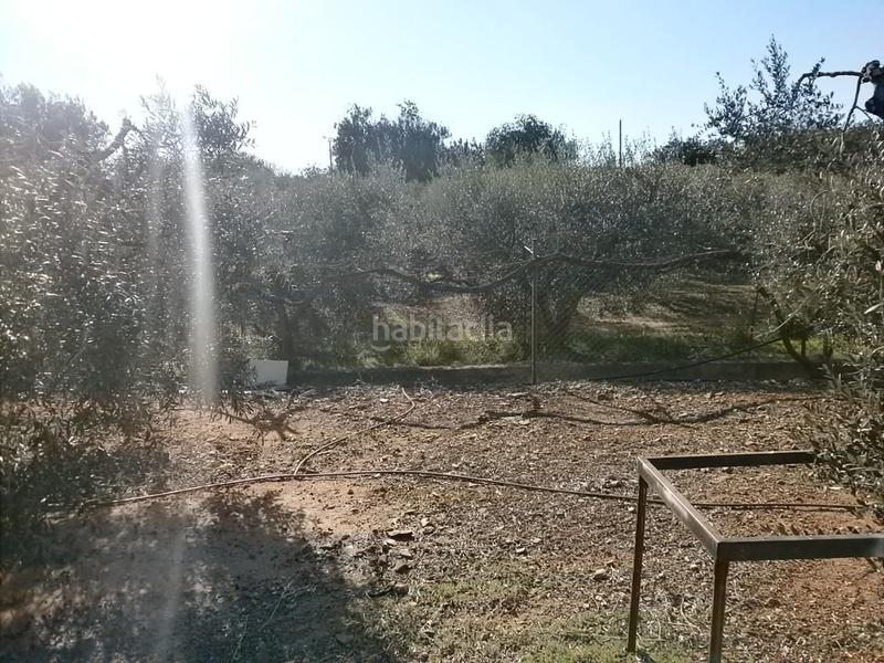 Foto 8bae9c5e-8e4c-4616-8ef4-2f6ad3c7c295. Finca rústica en Vinyols i els Arcs