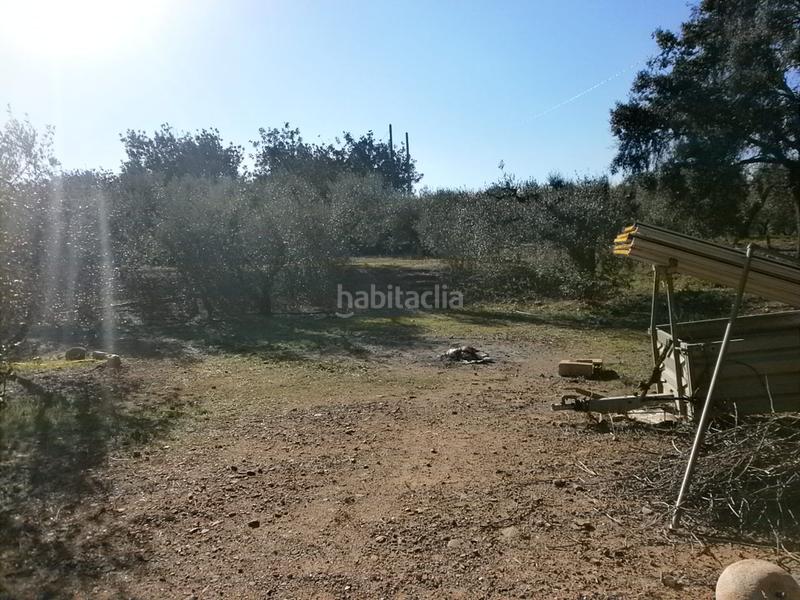 Foto f986344a-7dff-4596-8562-5f43c6840d90. Finca rústica en Vinyols i els Arcs