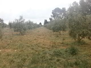 Rural plot  N/a
