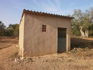 Rural plot in Castellvell del Camp