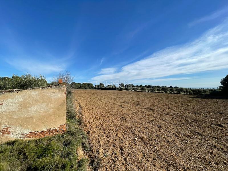 Foto 5fa28bc1-8613-4f72-95ca-141a69c7f02c. Fondo rustico in Botarell