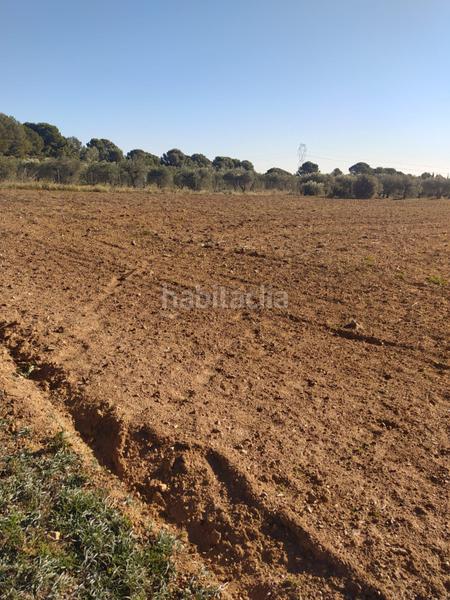 Foto 08d34123-7c49-4998-b280-b1ad54ea570f. Landgut in Botarell