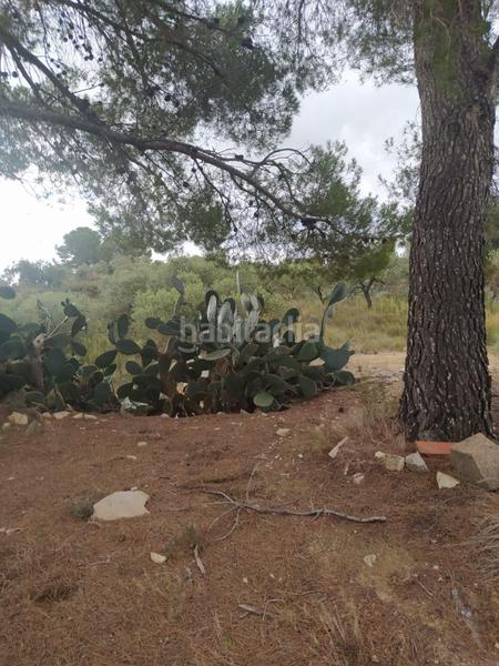 Foto 59da77b6-e527-432e-a402-48e60e4396e4. Finca rústica a Riudecanyes