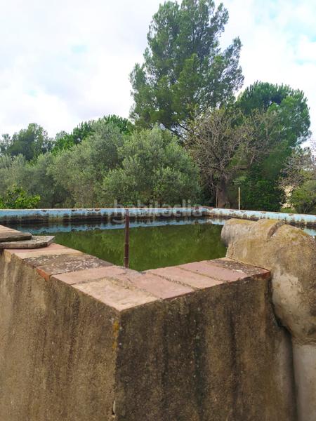 Foto b95f7056-fad1-4ca9-a52f-7b3b25bc7752. Fondo rustico in Riudecanyes