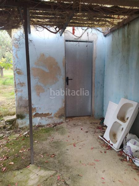 Foto d667f282-e5ed-406b-8124-1364791232c7. Fondo rustico in Riudecanyes