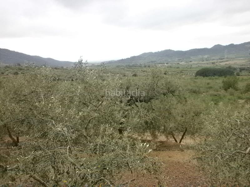 Foto 4520bee1-3c81-4c47-bd47-6cbac662c716. Finca rústica a Aleixar (L´)