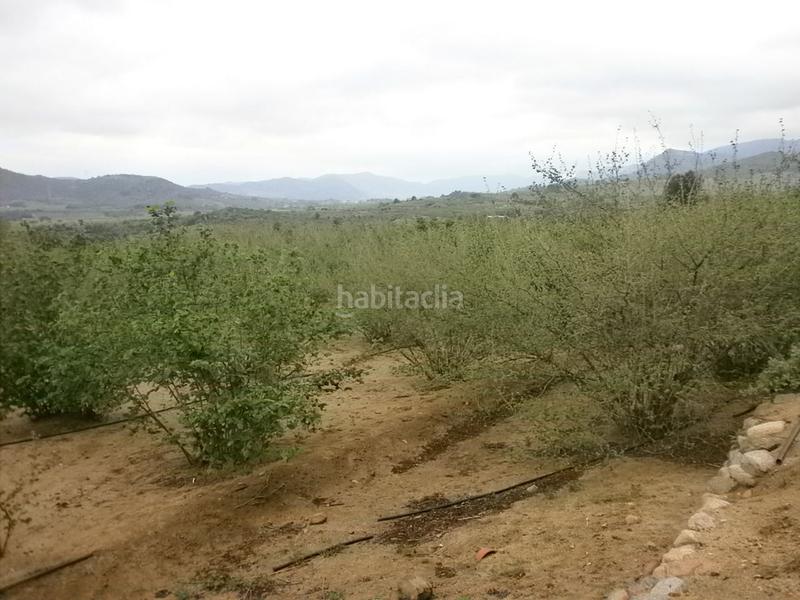Foto 4d52cc26-629f-4903-8883-39e4c0e58908. Finca rústica a Aleixar (L´)