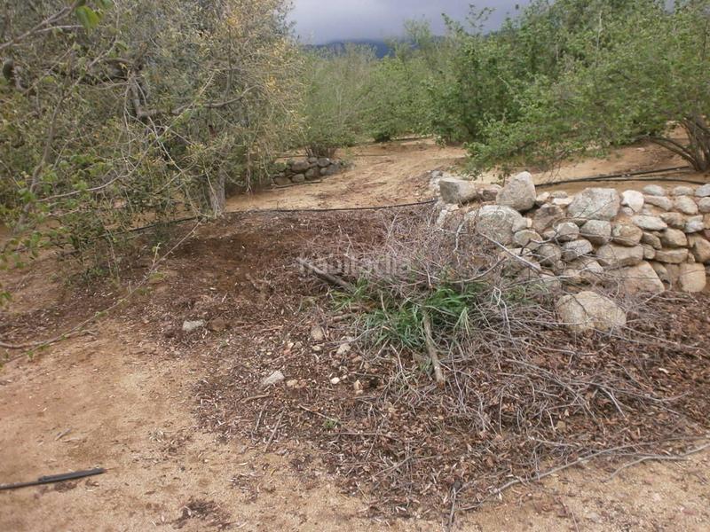 Foto a78e5b3d-2870-4ad3-ab0e-12539272bcdb. Finca rústica a Aleixar (L´)