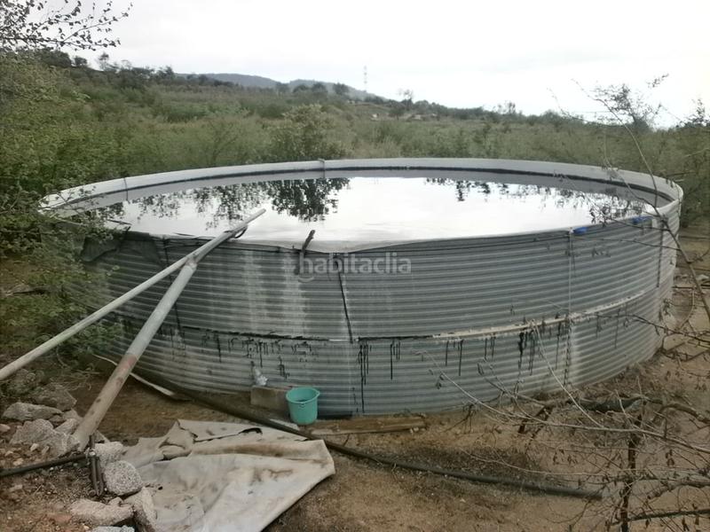 Foto b7e06151-bba4-4741-96f6-8a6bd834fcc0. Finca rústica a Aleixar (L´)