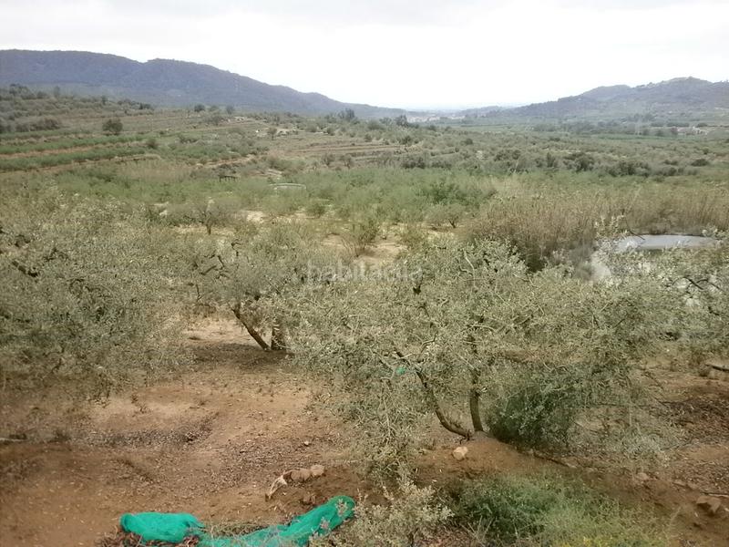 Foto e31f0140-3b8c-48dc-893b-9626c9e87780. Finca rústica a Aleixar (L´)