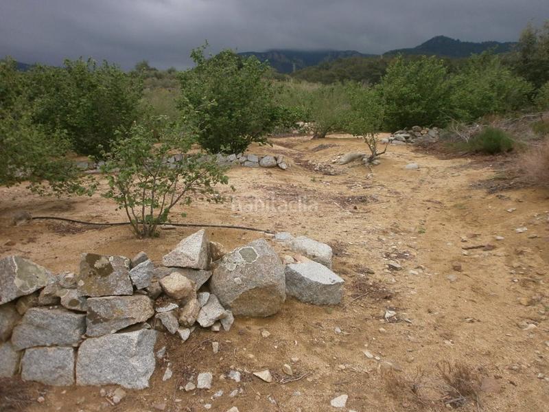 Foto f2aa34f4-a4ba-432b-b052-53cecb3c2f39. Finca rústica a Aleixar (L´)