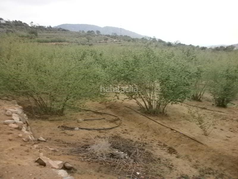 Foto fadb89d2-8fa4-4b01-8932-40ceb1d7ade6. Finca rústica a Aleixar (L´)