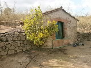 Finca rstica en Vilaplana
