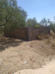 Finca rústica a Riudecanyes