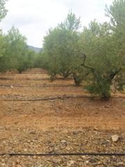 Finca rústica a Montbrió del Camp