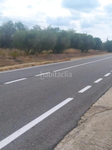 Foto 96cb6f76-9ba2-4ad8-b85d-c62849c26a6e. Finca rústica en Montbrió del Camp