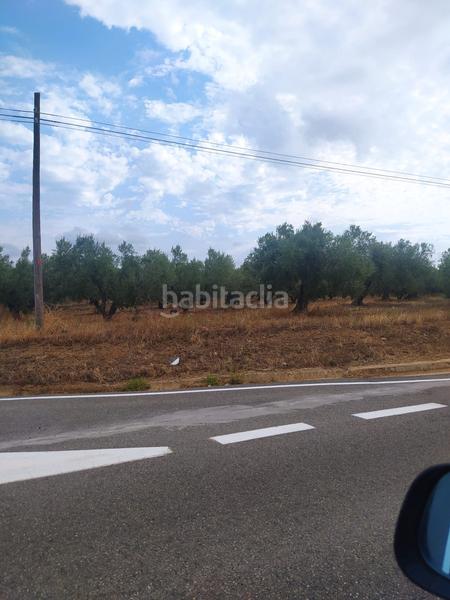 Foto 9c2687c7-283d-4e85-aec9-1cefbc7150ef. Finca rústica en Montbrió del Camp