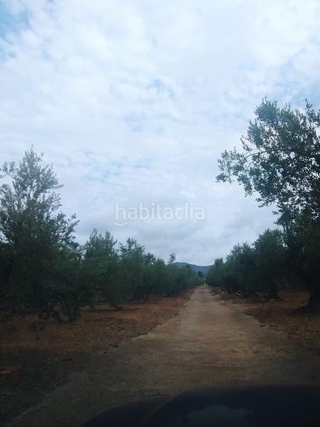 Foto b86d3b5d-8bd7-4257-92c9-8077634faa38. Finca rústica en Montbrió del Camp