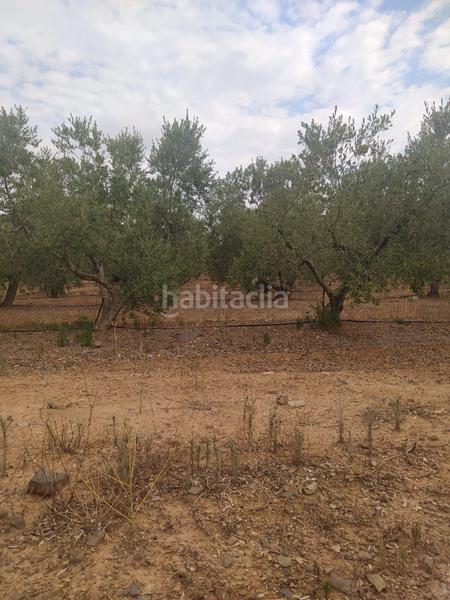 Foto ce22b9ee-387e-4ee5-aaee-152475f0e2a4. Finca rústica en Montbrió del Camp