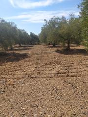 Finca rústica a Montbrió del Camp