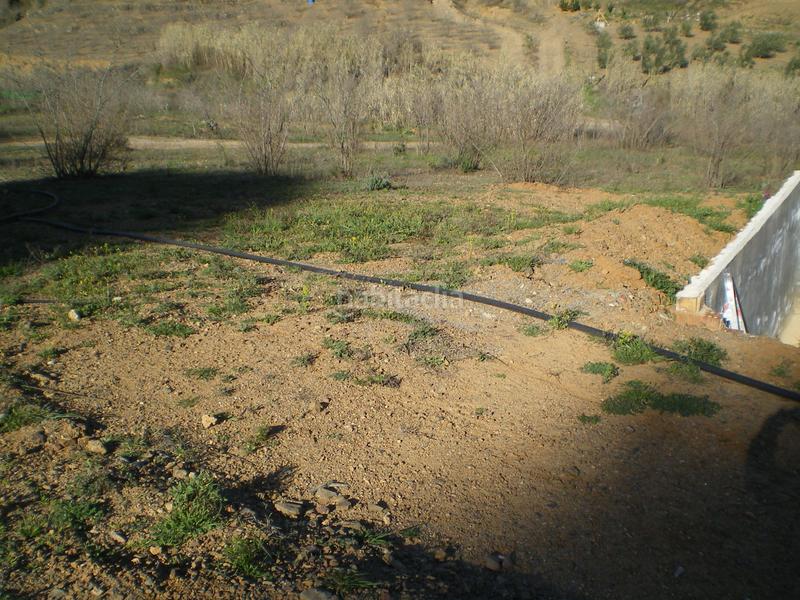 Foto e48f93ed-a4ee-45a3-8169-b9e142c3843f. Fondo rustico in Riudecols