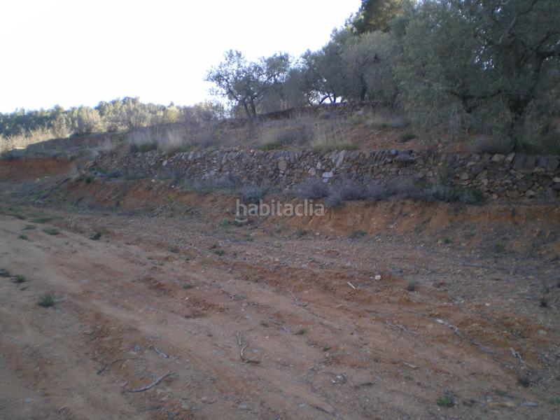 Foto fa0d6f5e-d624-49a0-a4c2-fff256db07a6. Fondo rustico in Riudecols