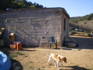 Finca rústica a Riudecols