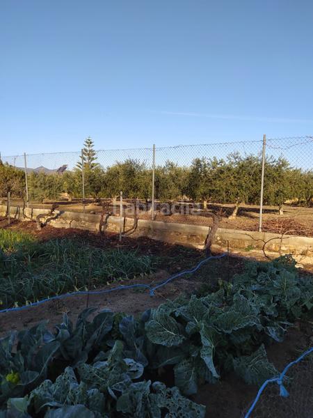 Foto 6eb75a63-596d-4552-8247-303f13cfa121. Finca rústica en Montbrió del Camp