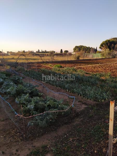 Foto ac0935b5-026f-4bef-919c-77389ccab76a. Finca rústica en Montbrió del Camp