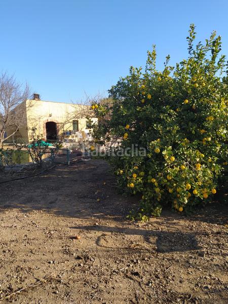 Foto b995de8b-c480-4d51-bcc3-ce60b67fdbf1. Finca rústica en Montbrió del Camp