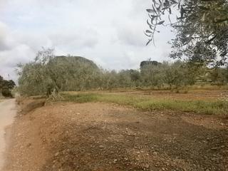 Finca rústica a Montbrió del Camp