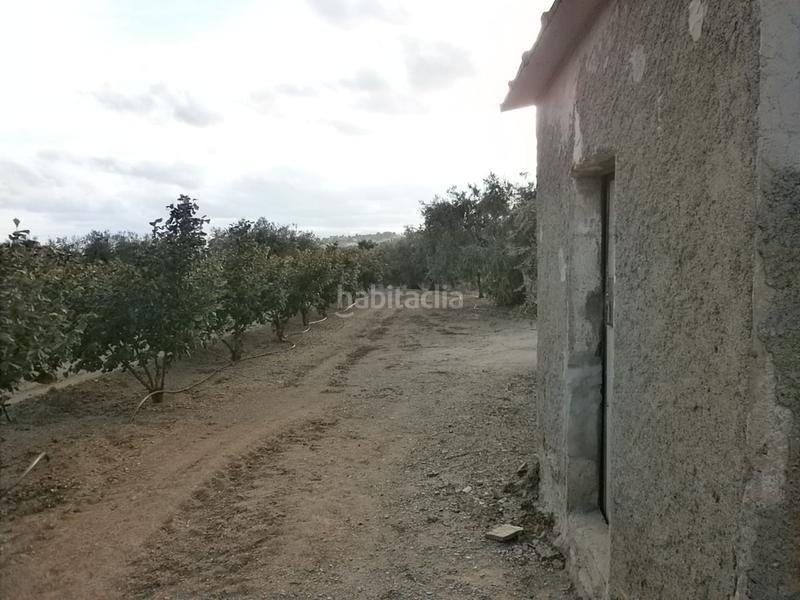 Foto 7f97099b-7af8-445a-b3f4-8defdb43bf11. Fondo rustico in Castellvell del Camp