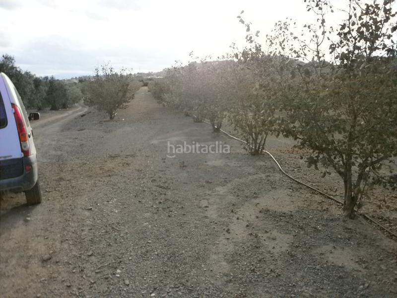 Foto c80b44b3-eb0a-4965-a75a-973143eab6c4. Fondo rustico in Castellvell del Camp