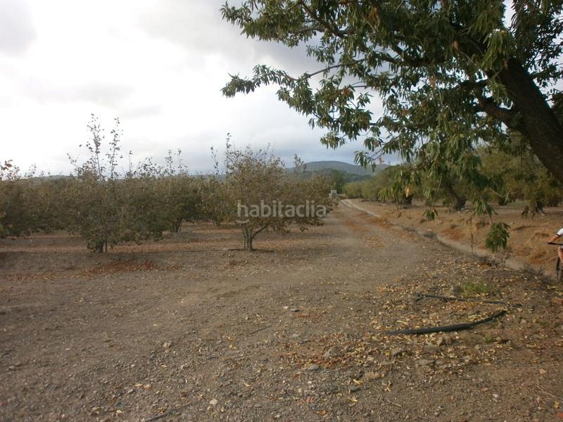 Foto 2500414c-a375-4651-b315-84e8abe89f37. Finca rústica a Castellvell del Camp