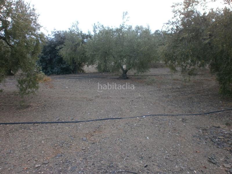 Foto 2cefe3b2-8d28-4d28-a86a-3a7799658087. Finca rústica a Castellvell del Camp