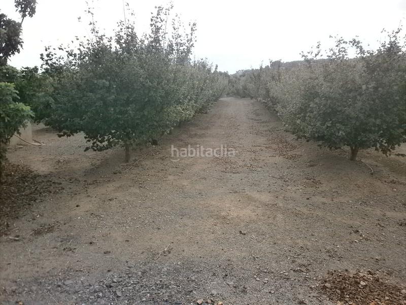 Foto 556a9ee9-3fac-4774-8136-3fecfe42125b. Finca rústica a Castellvell del Camp